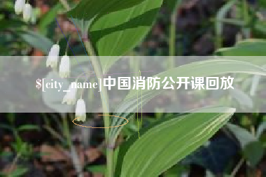 陕西中国消防公开课回放