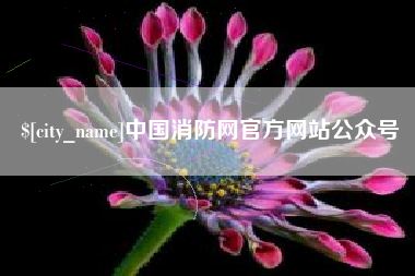 陕西中国消防网官方网站公众号