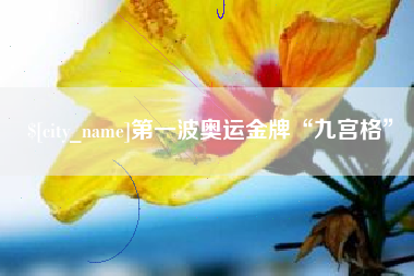 陕西第一波奥运金牌“九宫格”