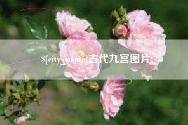 陕西古代九宫图片