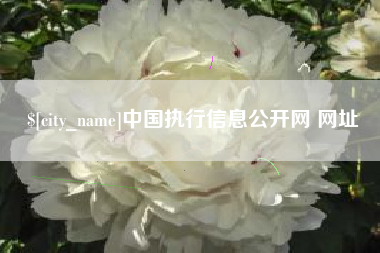 陕西中国执行信息公开网 网址