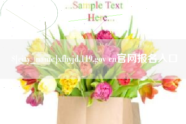 陕西xfhyjd.119.gov cn官网报名入口