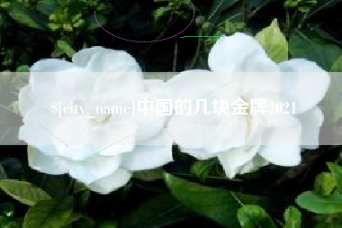 陕西中国的几块金牌2021