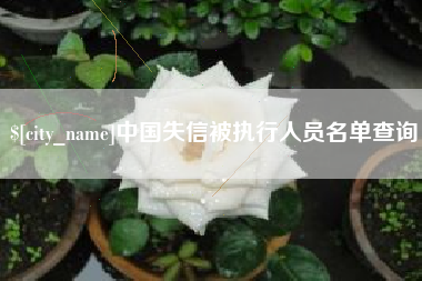 陕西中国失信被执行人员名单查询
