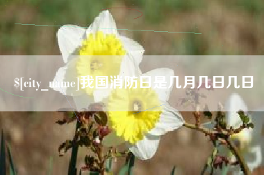 陕西我国消防日是几月几日几日