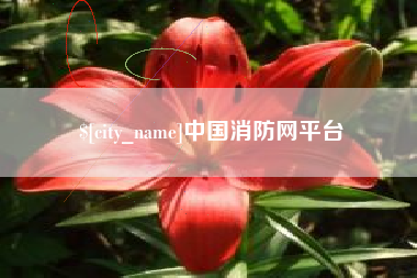 陕西中国消防网平台