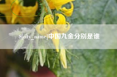 陕西中国九金分别是谁