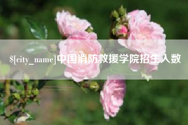 陕西中国消防救援学院招生人数