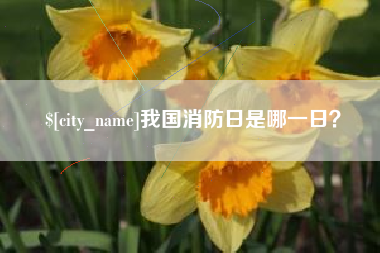 陕西我国消防日是哪一日？