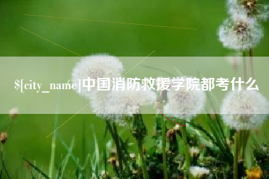 陕西中国消防救援学院都考什么