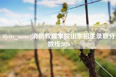 陕西消防救援学院山东招生录取分数线2020