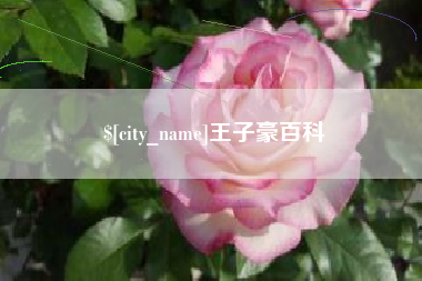 陕西王子豪百科
