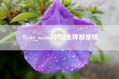 陕西中国金牌都是啥