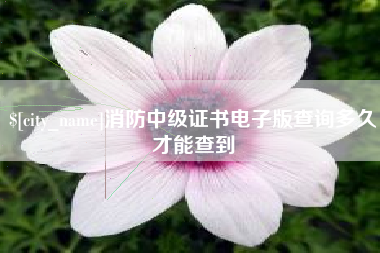 陕西消防中级证书电子版查询多久才能查到