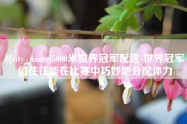 陕西5000米世界冠军配速-世界冠军们往往能在比赛中巧妙地分配体力