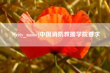陕西中国消防救援学院要求