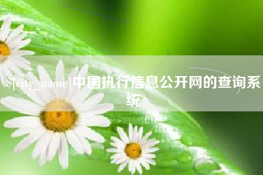 陕西中国执行信息公开网的查询系统