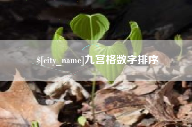 陕西九宫格数字排序