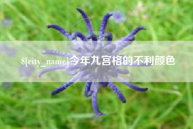 陕西今年九宫格的不利颜色