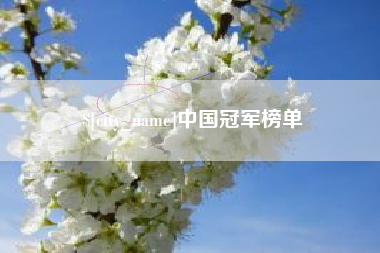 陕西中国冠军榜单
