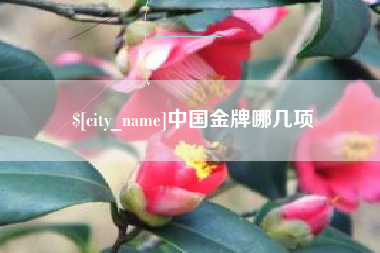 陕西中国金牌哪几项