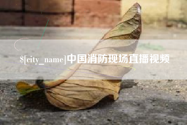 陕西中国消防现场直播视频