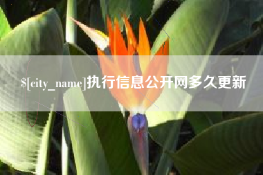 陕西执行信息公开网多久更新