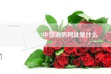 陕西中国消防网址是什么