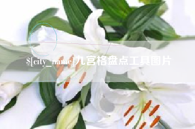 陕西九宫格盘点工具图片