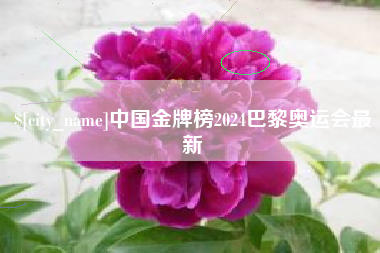 陕西中国金牌榜2024巴黎奥运会最新