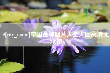 陕西中国金牌图片大全大图高清无水印