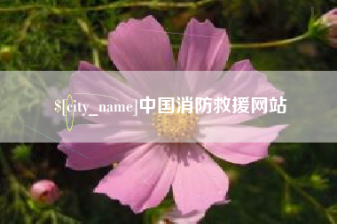 陕西中国消防救援网站