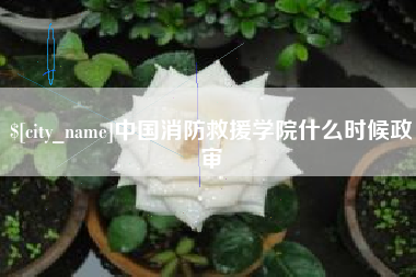 陕西中国消防救援学院什么时候政审