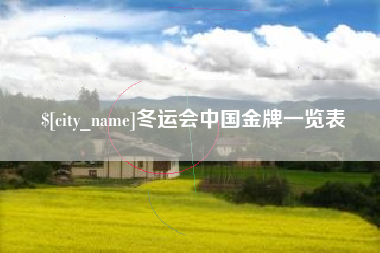 陕西冬运会中国金牌一览表