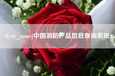 陕西中国消防产品信息查询系统1