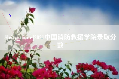 陕西2021中国消防救援学院录取分数