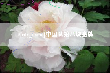 陕西中国队第八块金牌