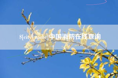 陕西中国消防在线查询