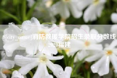 陕西消防救援学院招生录取分数线2020福建