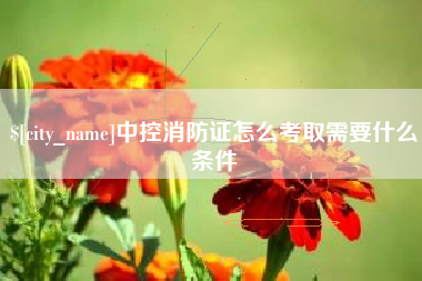 陕西中控消防证怎么考取需要什么条件