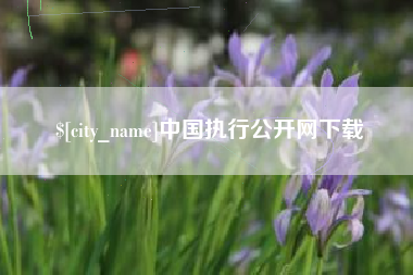 陕西中国执行公开网下载