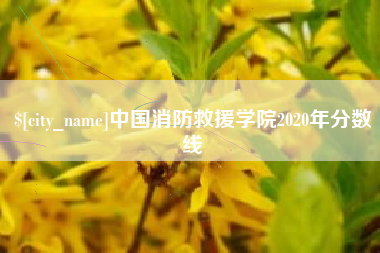 陕西中国消防救援学院2020年分数线