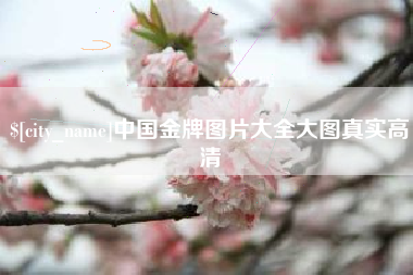 陕西中国金牌图片大全大图真实高清