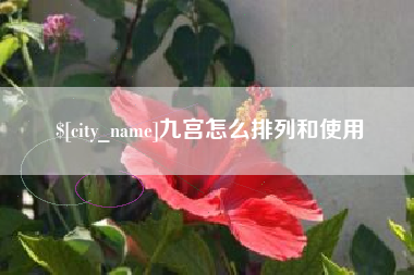 陕西九宫怎么排列和使用