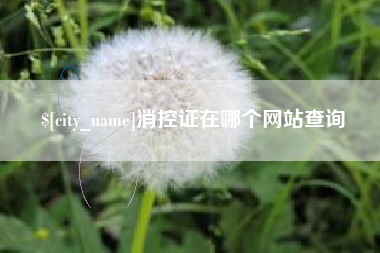 陕西消控证在哪个网站查询