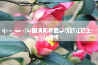 陕西中国消防救援学院浙江招生2020分数线