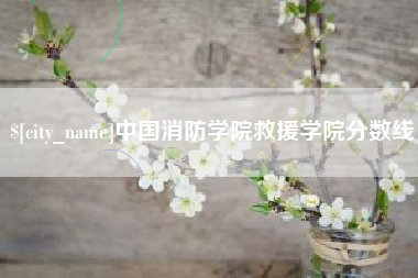 陕西中国消防学院救援学院分数线
