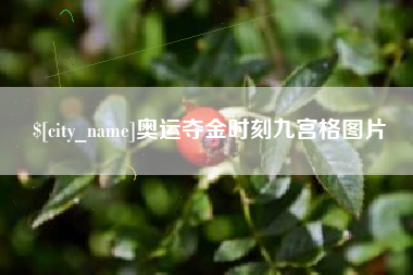 陕西奥运夺金时刻九宫格图片