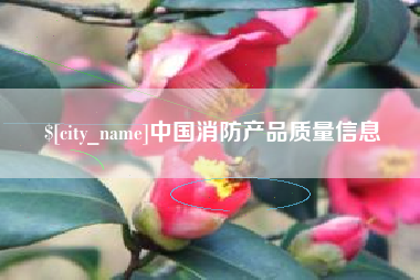 陕西中国消防产品质量信息