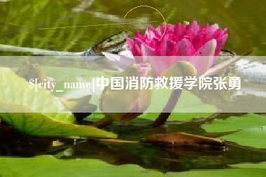 陕西中国消防救援学院张勇